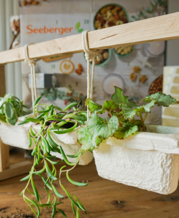 DIY Adventskalender - Schwebender Garten