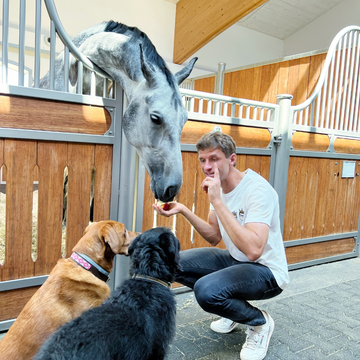 Thomas Müller füttert hockend ein Pferd in einer Stallbox und spricht zu zwei Hunden zu seiner Linken.