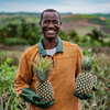 Ein Mann hält zwei Ananas, lächelnd auf einem Feld mit grünem Hintergrund.
